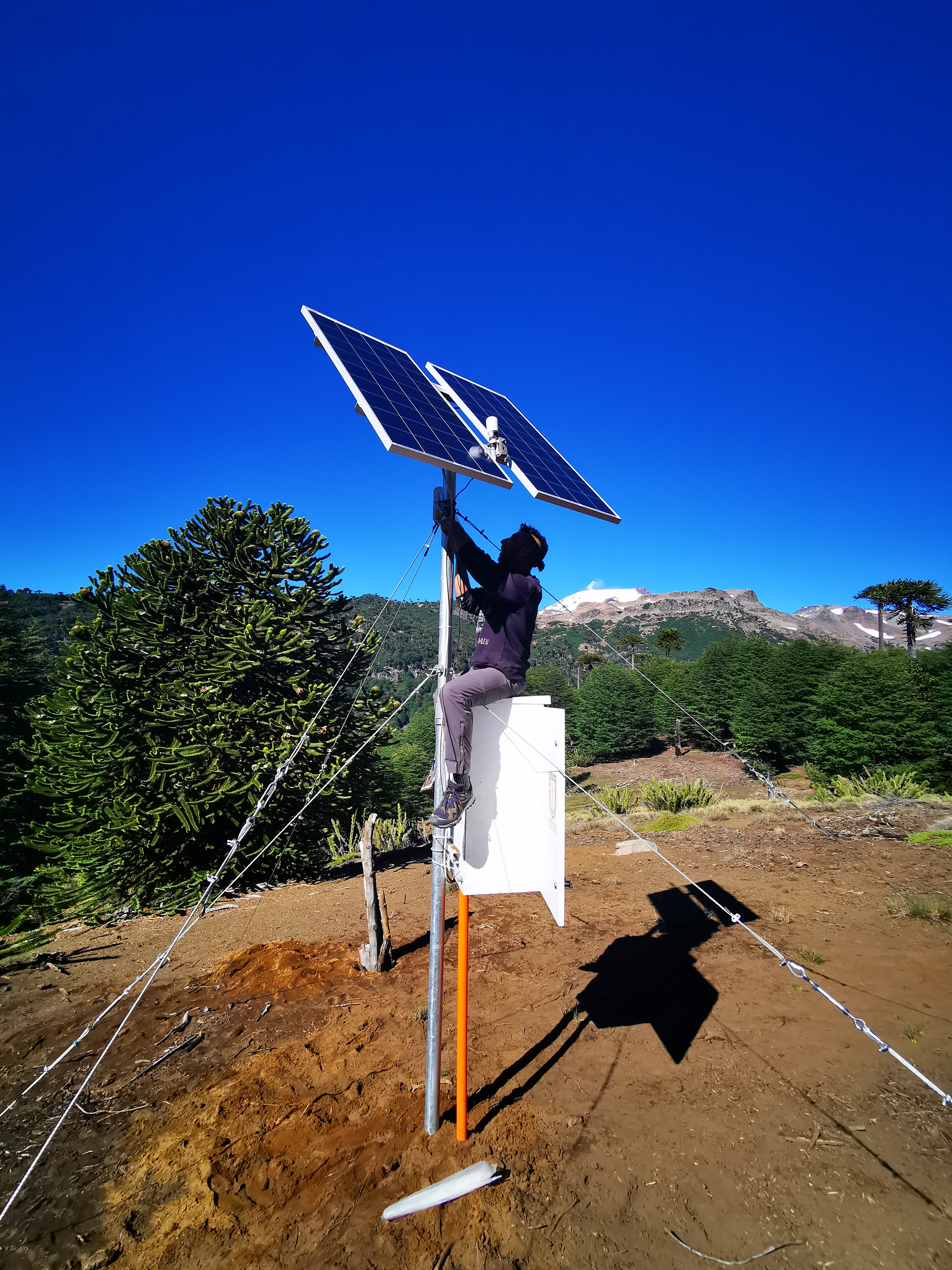 Instalación de panel solar cerca de araucarias