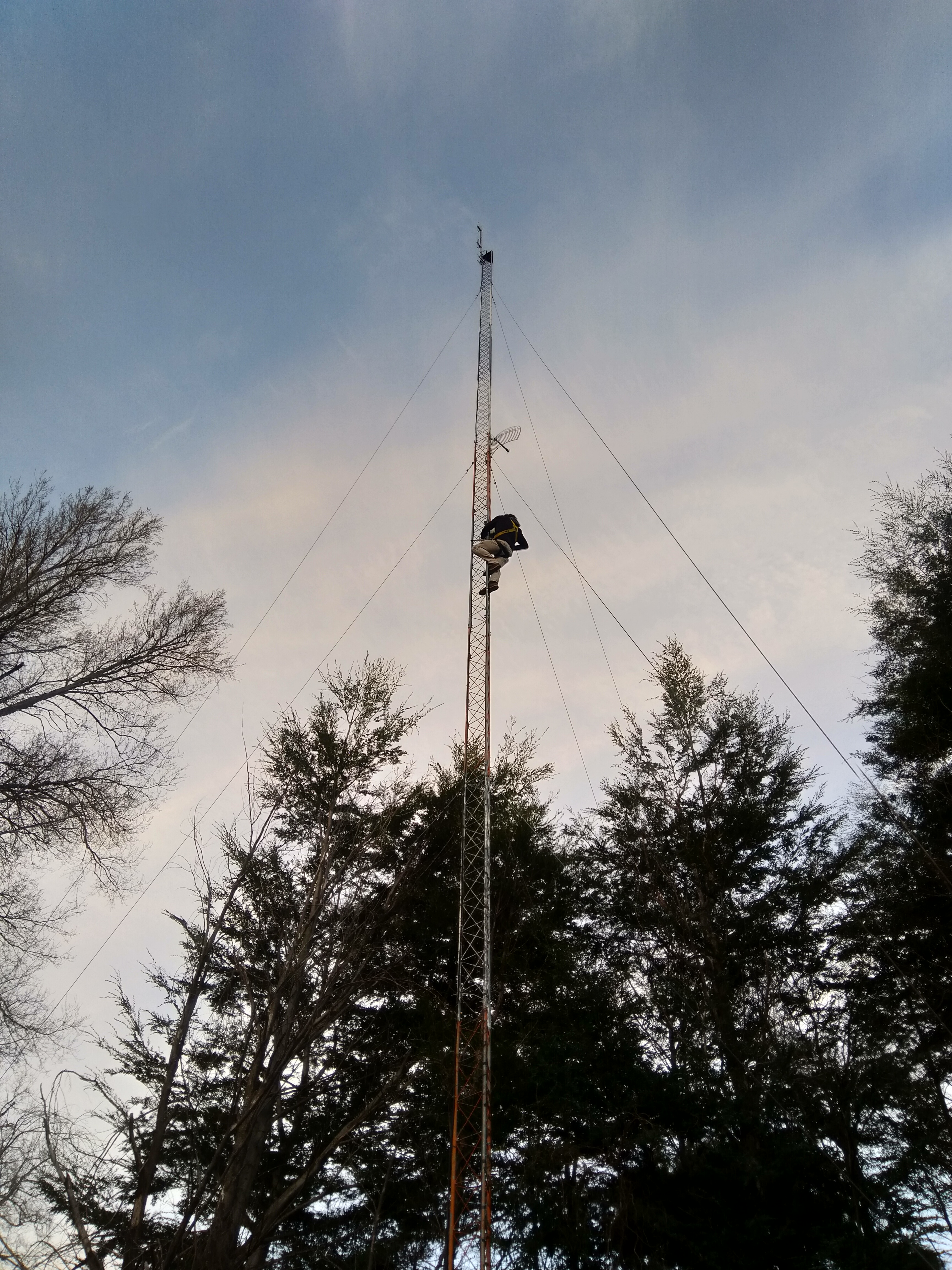 Torre de transmisión de datos en zona boscosa